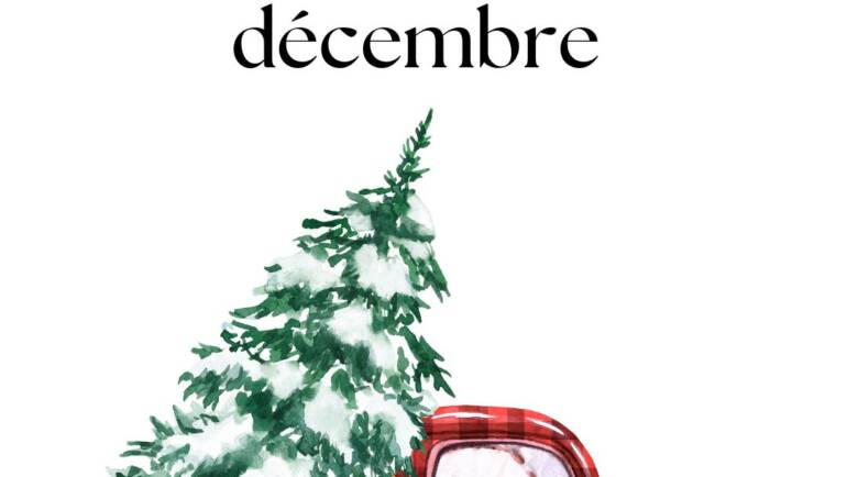 Newsletter décembre 2025